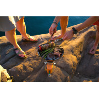 BioLite tragbarer Grillaufsatz