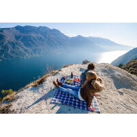 AMAZONAS Outdoor-Decke Travel Blanket ultra-light